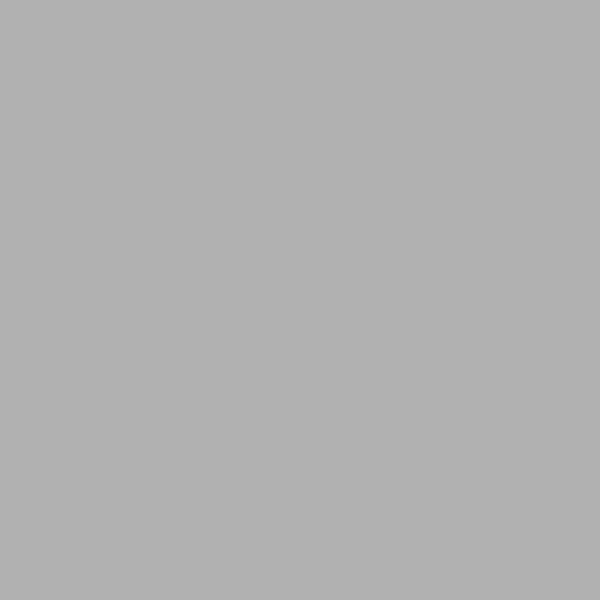 NUANCE - Peinture sous-couche aerosol PVC - 400ml - large