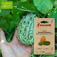 ASSOCIATION KOKOPELLI - Kiwano Concombre Cornu d'Afrique- Graines bio à semer - vignette