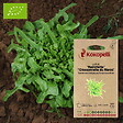 ASSOCIATION KOKOPELLI - Laitue Radichetta Cressonnette du Maroc- Graines bio à semer - vignette