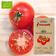 ASSOCIATION KOKOPELLI - Tomate Glacier- Graines bio à semer - vignette