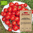 ASSOCIATION KOKOPELLI - Tomate-Cerise Washington Cherry- Graines bio à semer - vignette