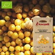 ASSOCIATION KOKOPELLI - Physalis Pubescens Aunt Molly- Graines bio à semer - vignette
