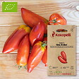 ASSOCIATION KOKOPELLI - Tomate Des Andes- Graines bio à semer - vignette