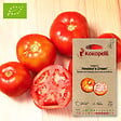 ASSOCIATION KOKOPELLI - Tomate Amateur's Dream- Graines bio à semer - vignette