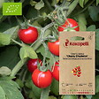 ASSOCIATION KOKOPELLI - Tomate-Cerise Cherry Chadwick- Graines bio à semer - vignette