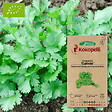 ASSOCIATION KOKOPELLI - Coriandre Cultivée- Graines bio à semer - vignette