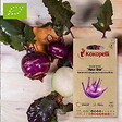 ASSOCIATION KOKOPELLI - Chou Rave Azur Star- Graines bio à semer - vignette