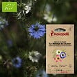 ASSOCIATION KOKOPELLI - Nigelle de Damas En Mélange de Couleur- Graines bio à semer - vignette