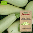 ASSOCIATION KOKOPELLI - Courgette Blanche de Trieste- Graines bio à semer - vignette
