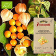 ASSOCIATION KOKOPELLI - Physalis Peruviana Coqueret du Pérou- Graines bio à semer - vignette