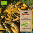 ASSOCIATION KOKOPELLI - Courgette Cocozelle- Graines bio à semer - vignette