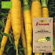 ASSOCIATION KOKOPELLI - Carotte Jaune du Doubs- Graines bio à semer - vignette