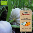 ASSOCIATION KOKOPELLI - Courge Pepo Baby Boo- Graines bio à semer - vignette