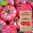 ASSOCIATION KOKOPELLI - Tomate Brandywine Pink- Graines bio à semer - vignette