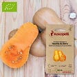 ASSOCIATION KOKOPELLI - Courge Moschata Sucrine du Berry- Graines bio à semer - vignette