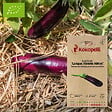 ASSOCIATION KOKOPELLI - Aubergine Longue Violette Hâtive- Graines bio à semer - vignette