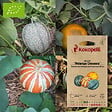 ASSOCIATION KOKOPELLI - Melon Mélange Creusois- Graines bio à semer - vignette