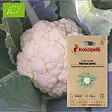 ASSOCIATION KOKOPELLI - Chou Fleur Neckarperle- Graines bio à semer - vignette