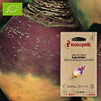 ASSOCIATION KOKOPELLI - Chou Rutabaga Laurentian- Graines bio à semer - vignette