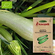 ASSOCIATION KOKOPELLI - Courgette Genovese- Graines bio à semer - vignette