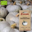 ASSOCIATION KOKOPELLI - Courge Maxima Potiron Bleu de Hongrie- Graines bio à semer - vignette