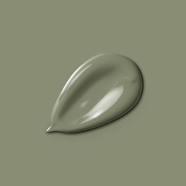 NUANCE - Testeur peinture MonoCrème - Vert olive - Mat - 50ml - large
