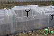 MODULO - Tunnel Modul'o 60 - Polypropylène - vignette