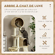 PAWHUT - Arbre à chat style cosy chic griffoirs grattoir sisal 2 grandes niches plateforme hamac peluche courte beige jacinthe d'eau - vignette