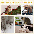 PAWHUT - Arbre à chat design contemporain griffoir sisal naturel 2 niches plateformes jeu boule suspendue MDF blanc aspect hêtre clair - vignette