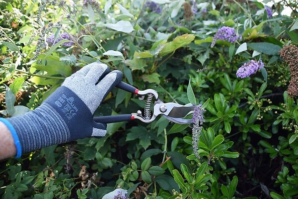 SPEAR & JACKSON - Sécateur 20.5 cm lames forgées - large