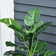 OUTSUNNY - Arbre artificiel plante artificielle Monstera H. 100 cm tronc branches lichen feuilles de tortue grand réalisme pot inclus - vignette