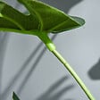 OUTSUNNY - Arbre artificiel plante artificielle Monstera H. 100 cm tronc branches lichen feuilles de tortue grand réalisme pot inclus - vignette