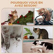 PAWHUT - Mur d'escalade pour chat - arbre à chat design mural - griffoirs, plateformes, 2 paniers, échelle - sisal peluche gris - vignette