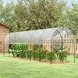 OUTSUNNY - Serre de jardin serre à tomates dim. 6L x 1,23l x 1,71H m acier thermolaqué vert PE haute densité transparent - vignette