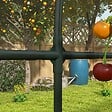 OUTSUNNY - Serre de jardin serre à tomates dim. 6L x 1,23l x 1,71H m acier thermolaqué vert PE haute densité transparent - vignette