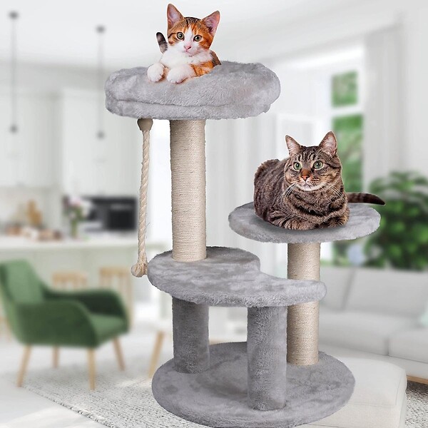 KZ GARDEN - Arbre à Chat Hauteur 62 cm 3 Plateformes perchées Griffoir Sisal Corde de Jeu Tour à griffer Perchoir - large