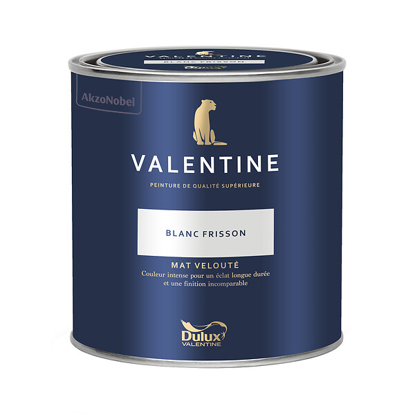 DULUX VALENTINE - Peinture murs&boiseries Valentine  Mat Velouté Blanc Frisson 0,5 L - large