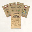 ASSOCIATION KOKOPELLI - Plantes à tisanes - 4 sachets de graines bio à semer - vignette