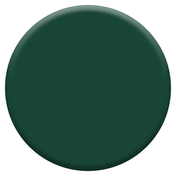 JULIEN - Peinture aerosol Color Touch - Vert Basque RAL 6005 - Satin - 400ml - large
