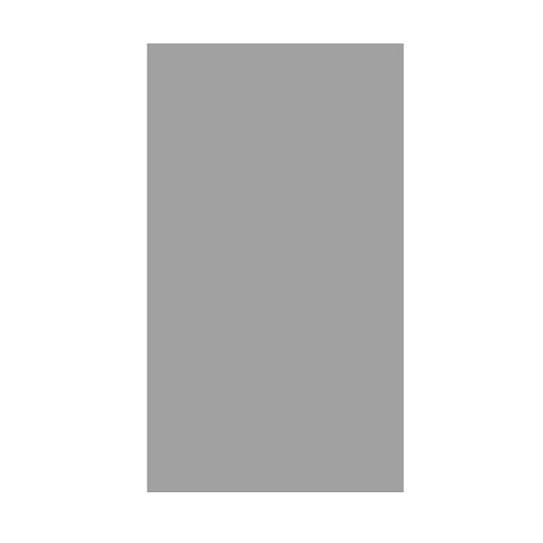 AURLANE - Panneau Mural Finition Aluminium Gris Clair Silver 120 x 210 cm - WALL'IT SILVER - large