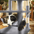 VOUNOT - Arbre a chat Grande taille 5 niveaux avec griffoir grattoir 168cm gris - vignette