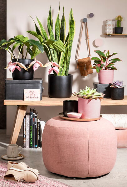 DEROMA - Cache-pot 900 Rosea 15cm - large
