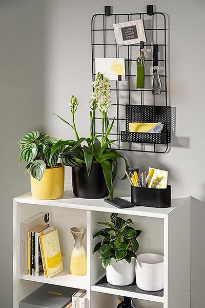 DEROMA - Cache-pot 909 Perla 21cm - large