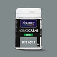 NUANCE - Testeur peinture MonoCrème - Gris acier - Satin - 50ml - vignette
