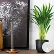 BLOOMIQUE - Dypsis Lutescens - Palmier Areca - Plante d’intérieur - Dépolluante - H. 30-40 cm - P. 12 cm - vignette