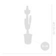 BLOOMIQUE - Euphorbia Acrurensis - Euphorbe - Cactus cowboy - Plante cactus - H. 100-120 cm - P. 24 cm - vignette