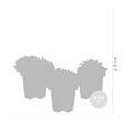 BLOOMIQUE - Lot de 6 - Sempervivum Mix - Joubarbe - Plantes de jardin - Résistante au gel - H. 8-12 cm - P. 7 cm - vignette
