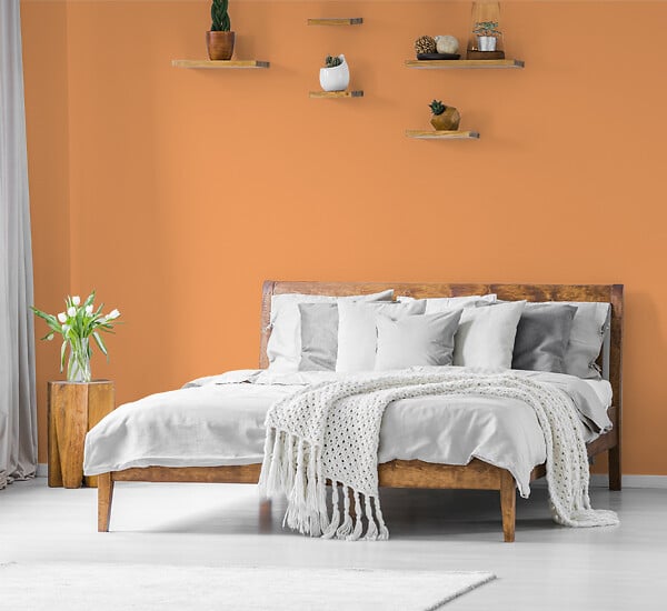 NUANCE - Peinture MonoCrème - Ambre - Mat - 0.5L - large