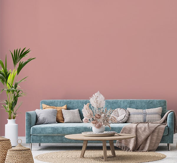 NUANCE - Peinture MonoCrème - Rose pétale - Mat - 0.5L - large