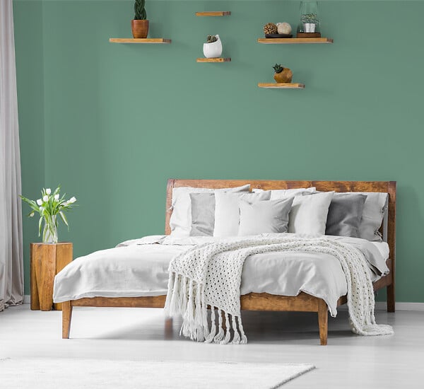 NUANCE - Peinture MonoCrème - Vert tilleul - Satin - 0.5L - large